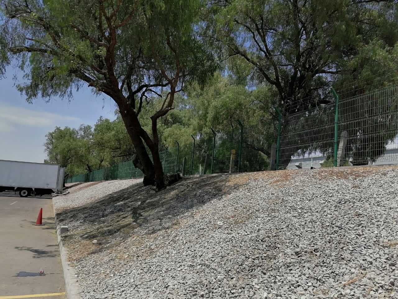 Mantenimiento de árboles en red aérea, fotografía 6