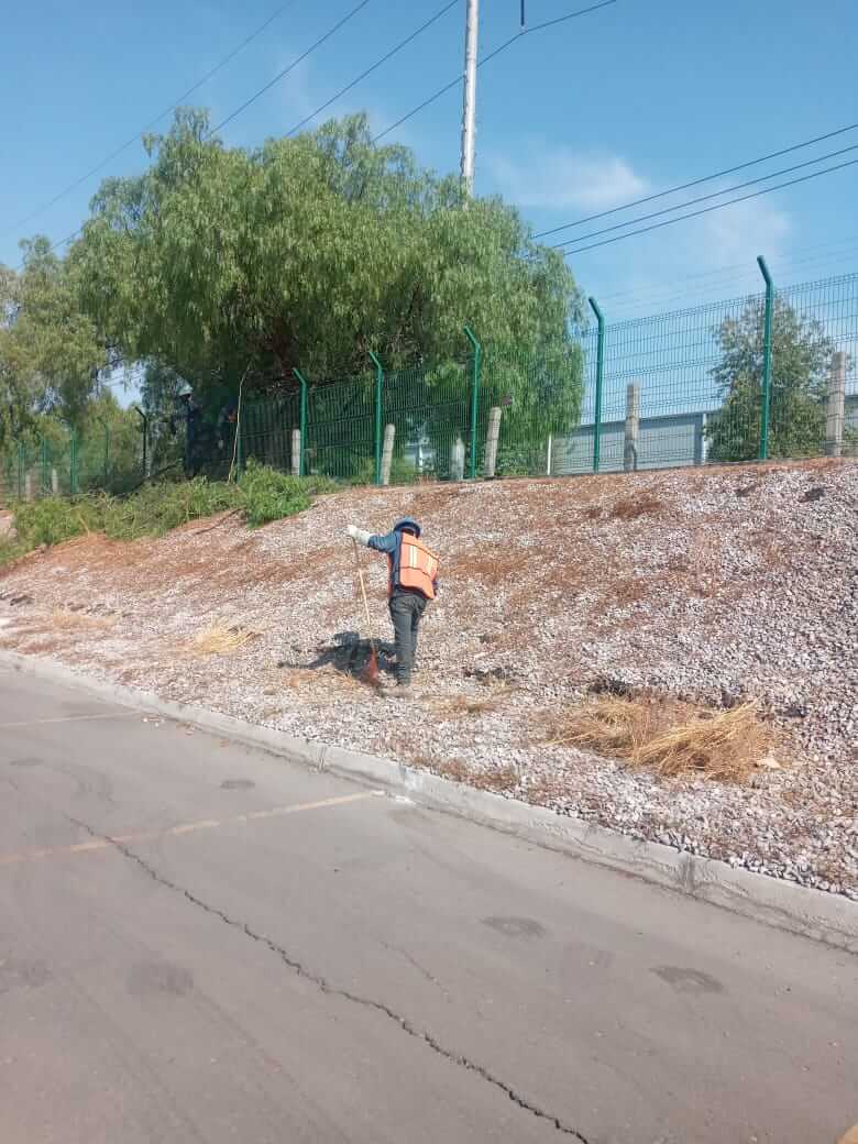 Mantenimiento de árboles en red aérea, fotografía 7