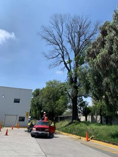 Mantenimiento preventivo a red aérea