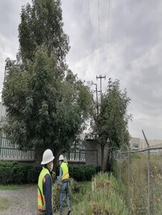 Mantenimiento preventivo a red aérea, fotografía 6