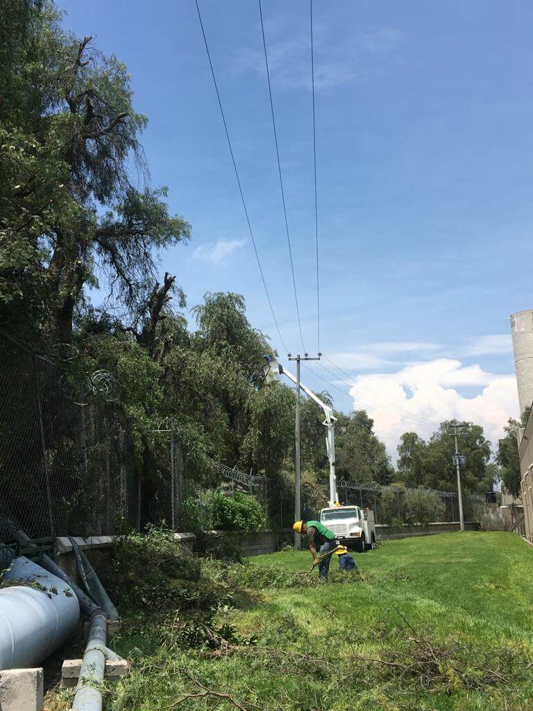 Poda cercana a línea de media tensión, fotografía 2
